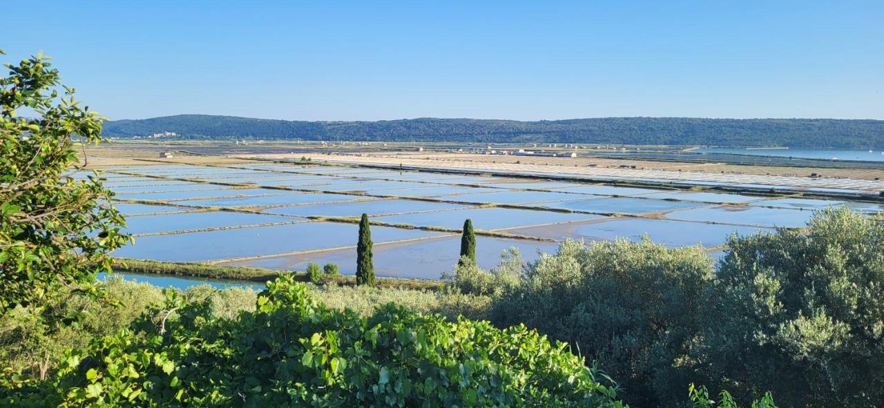 Apartment Salt Pans View ポルトローシュ エクステリア 写真