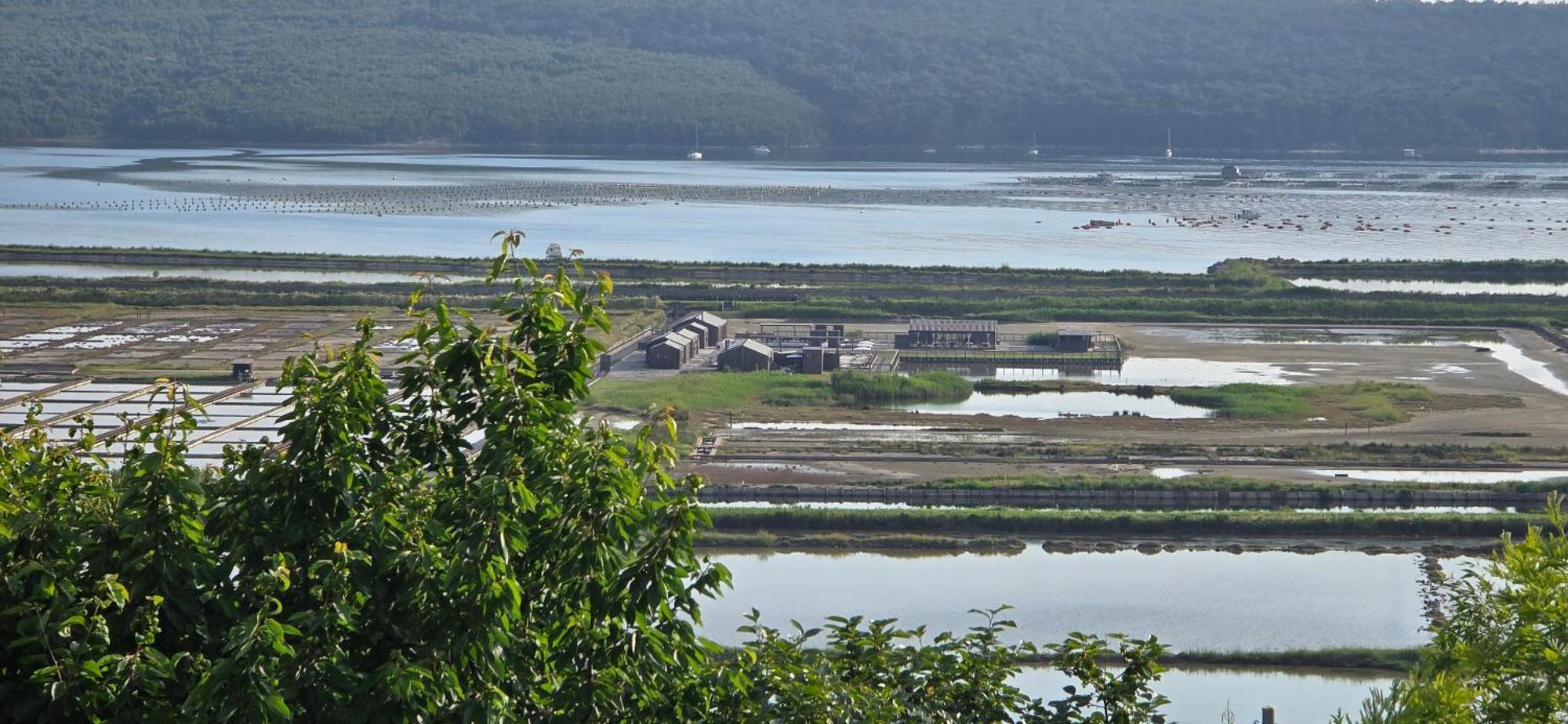 Apartment Salt Pans View ポルトローシュ エクステリア 写真